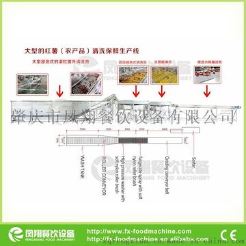 大型的红薯（农产品）清洗保鲜生产线 肇庆凤翔 农产品加工机械加工生产线